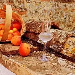 premijum rakija od šljive