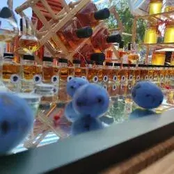 premijum rakija od šljive