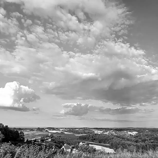 Panoramski pogled na Družetić in okoliške sadovnjake